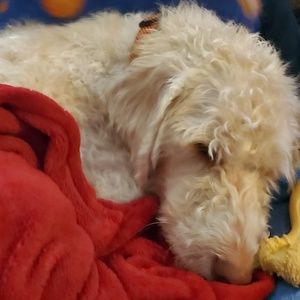 Meet your Posher, Jack